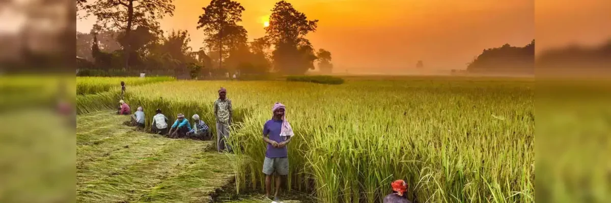 a-lot-of-things-need-to-be-developed-across-different-agricultural-pockets-from-north-to-south-of-bengal-bengal-food-processing-minister